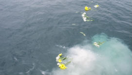 memorial-4