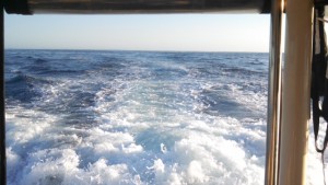 San Diego Private Yacht Charter